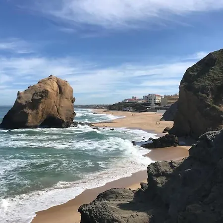 Santa Lovers * سانتا كروز